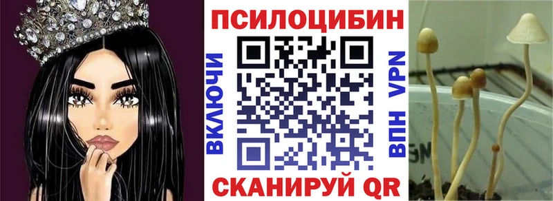 блэк спрут зеркало  Староминская  shop официальный сайт  Галлюциногенные грибы мухоморы 
